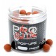Starbaits Probiotic The Red One Pop-Ups