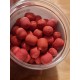 Starbaits RS1 Dumbells wafters 14mm 70g